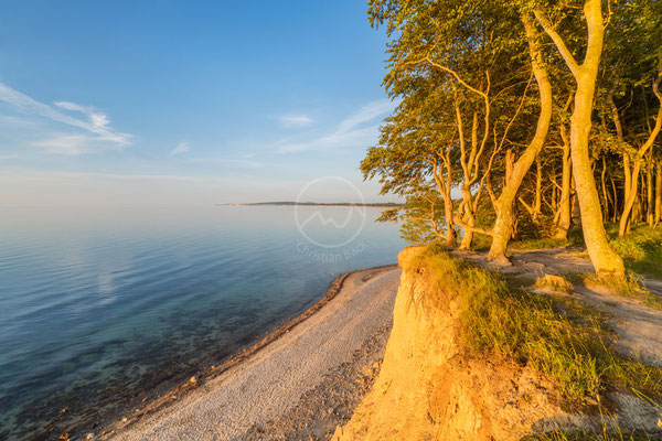 Steilufer bei Kiel | Ostsee