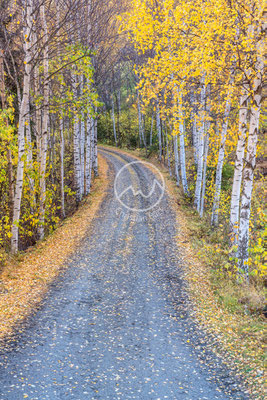 Herbst bei Lom