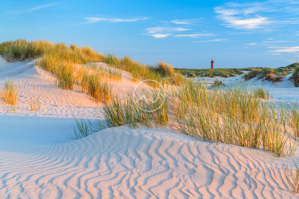 Dünen und Leuchtturm auf der Insel Norderney | Nordsee