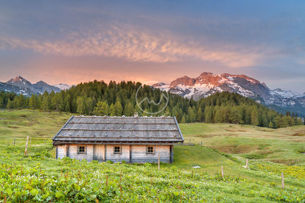 #31 Alm vor Funtenseetauern, Berchtesgadener Alpen