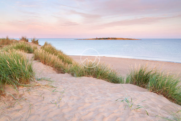 Strand in Halland