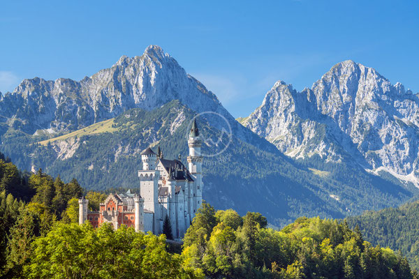 #43 Schloß Neuschwanstein