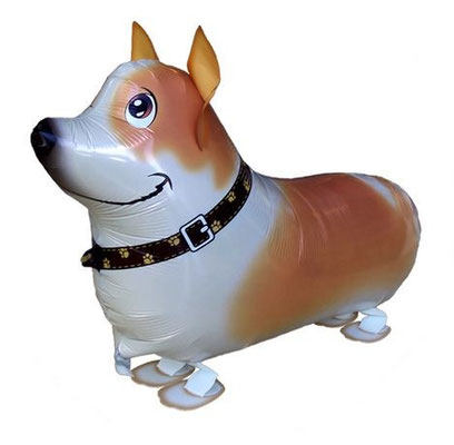 Corgi (Terrier)