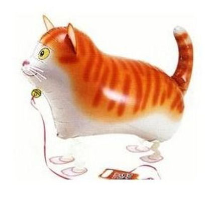 Gatto Cat (Katze)