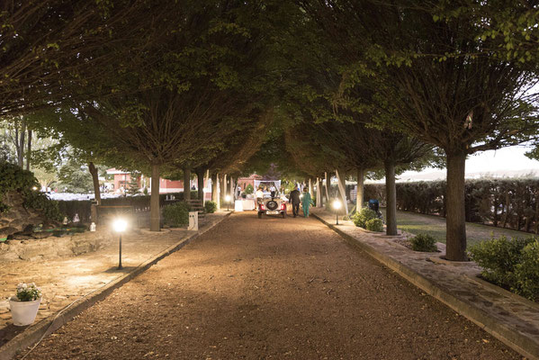 Finca de Bodas Ciudad Real 