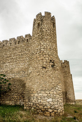 Tigranakert castle