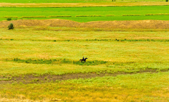 rider in the prairie