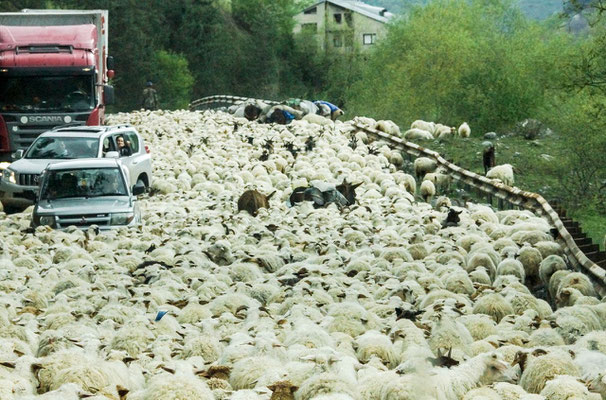 While traveling northbound along the Georgian Military Road ...