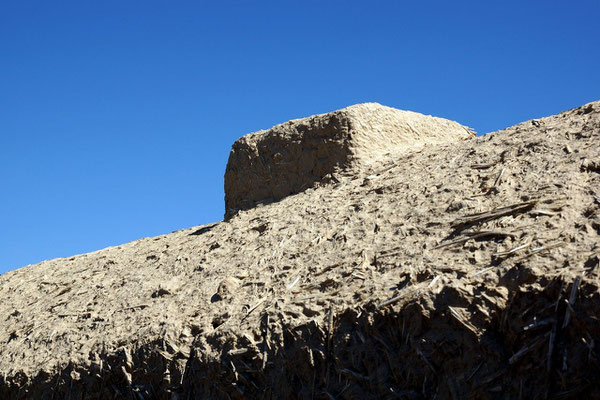 thatched roof 