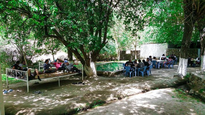 Lunch under trees