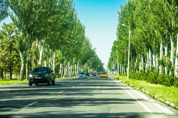 avenue outside Bishkek