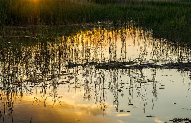 reflections on the water