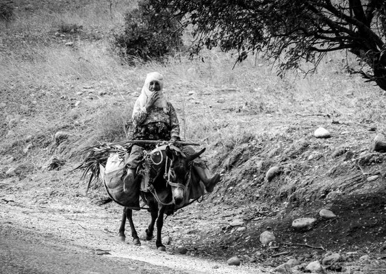 near the Septimius Severus bridge, Province of Adiyaman, Kurdistan - woman on a donkey