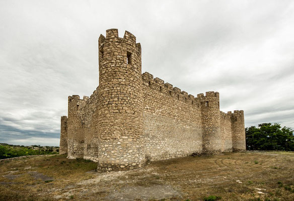 Tigranakert castle