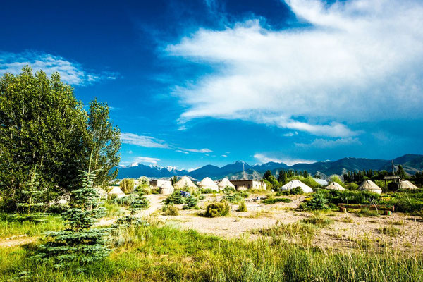 Tosor yurt camp