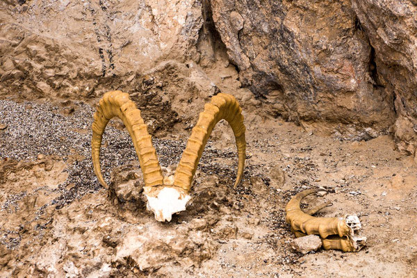 Neolithic cave of Shakhty  (Altitude: 4,200 m)