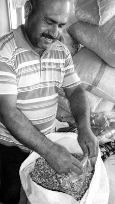 Gaziantep, Kurdistan - Pistachios plantation owner