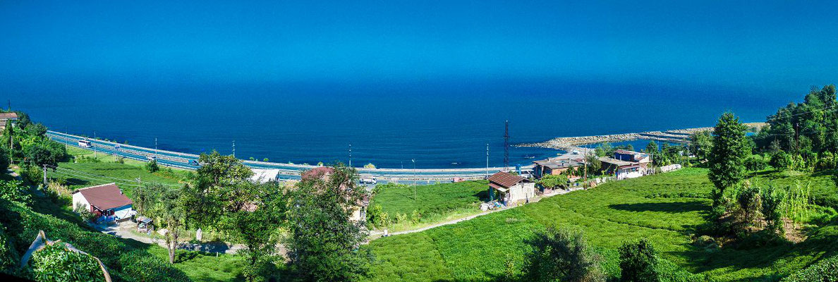 View from the plantage to the black sea