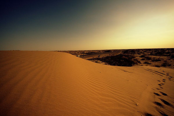 on the dune