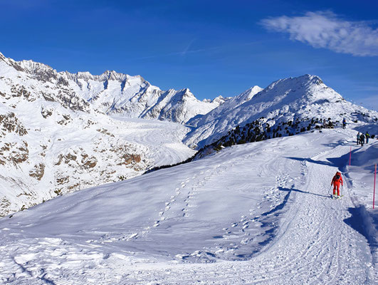 Skiparadies am Grossen Aletschgletscher