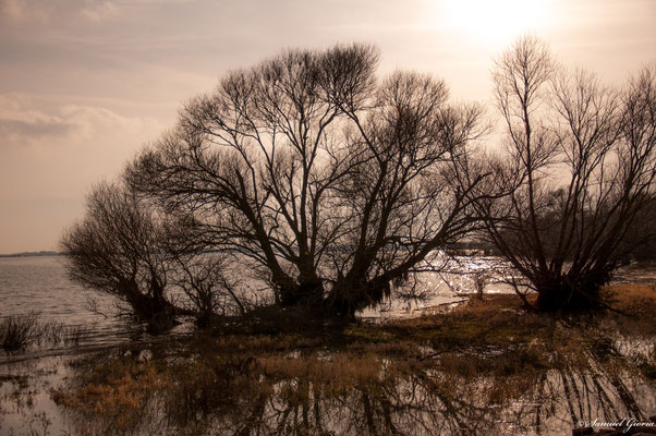 Sur les bords du Lac