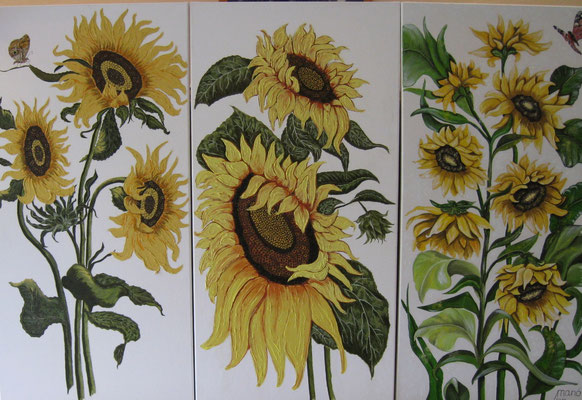 Sonnenblumen - Tryptychon, Öl auf Leinwand, je 50 x 100 cm
