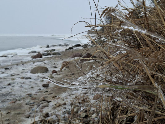 Palmer Ort, Insel Rügen - eine Eiswelt
