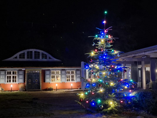 Weihnachtsbaum beleuchtet am Kulturkaten Kiek In