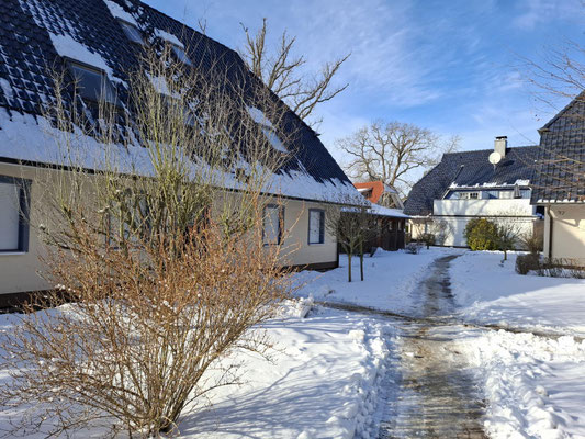 Prerow, Anlage Buchentraum mit Blick auf das Haus 1 und unserer Ferienwohnung Buchentraum 1/4