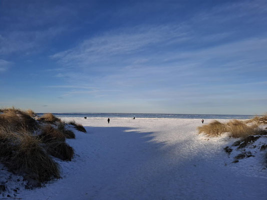 Auf dem Weg zum Nordstrand in Prerow. Eine weiße Winterlandschaft.