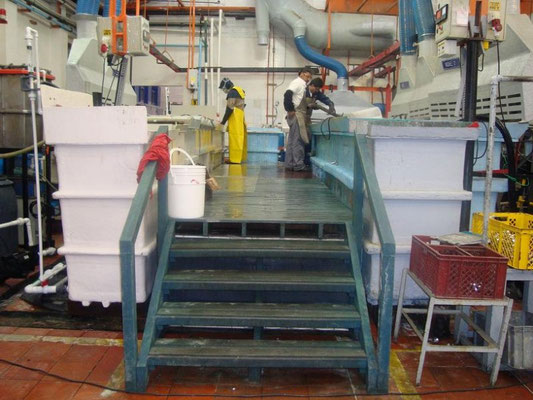 rejilla industrial grating para piso