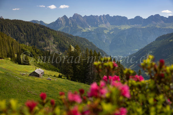 Spitzmeilen