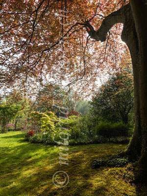 Garten Claude Monet