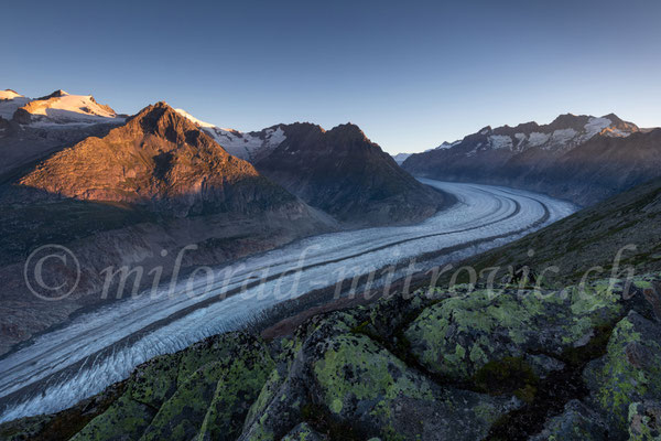 Aletschgletscher