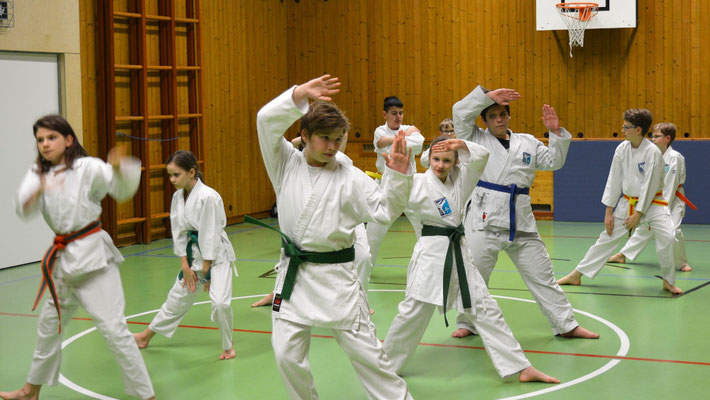 Kata Jugendgruppe Gymnsasiasten Mittelschüler Wien Favoriten