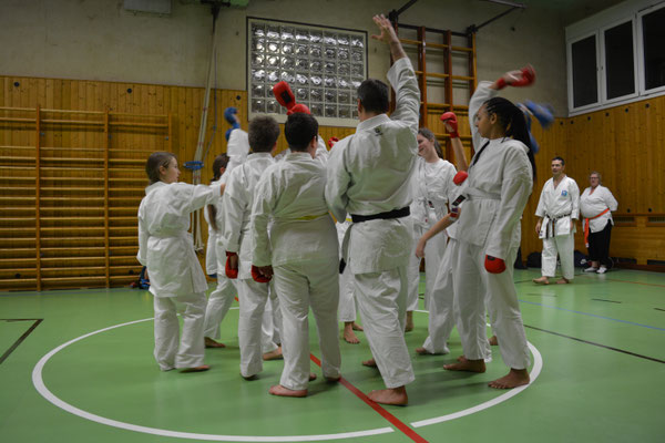 Sicherheit und Werte, Karate im Breitensport als Kampfkunst und zur Selbstverteidigung