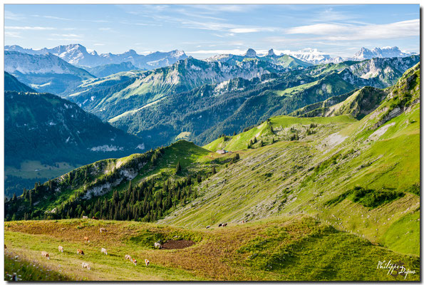 Grand Muveran 3051 m, Petit Muveran 2810 m, Dents de Morcles 2969 m, Tour de Mayen 2326, Tour d'Aï 2331 m, Mont Blanc 4808 m, Dents du Midi 3257 m
