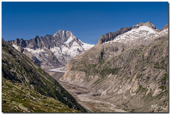 Glacier de l'Unteraar, Schreckhorn 4078 m