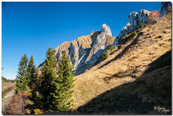 Mont Gardy 2201 m en descendant du Pas de Lovenex