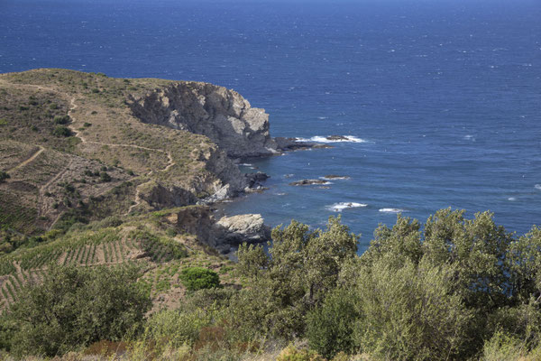 Banuyls sur mer