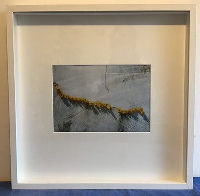 1 Guthy/Schüler, Marmorblüte, 190€ incl. Objektrahmen; 52,3x52,3cm, Foto von LandArt-Installation