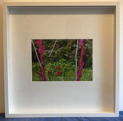  2 Guthy/Schüler, 2 Stäbe-Pfingstrosenblüten, 190€ incl. Objektrahmen; 52,3x52,3cm, Foto von LandArt-Installation