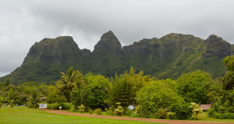Scenery
