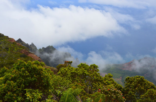 Obe acho hets Nebel gha und Wulche. Hend scho wieder welle gah, da hets glich na kurz uftue und mer hend d Napali Coast derab gseh (dete wo mer gsegled sind). De Kalalau Lookout isch4'000 Feet über Meer (ca. 1'400 Meter)