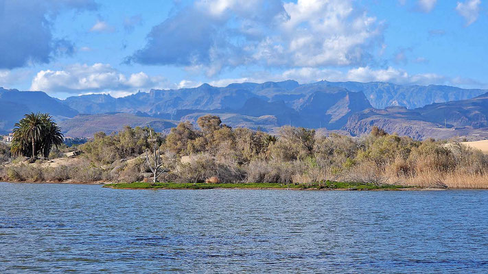 Die Lagune La Charca in Maspalomas 
