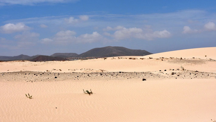 Ein fast 2000 Hektar großer Sandkasten.