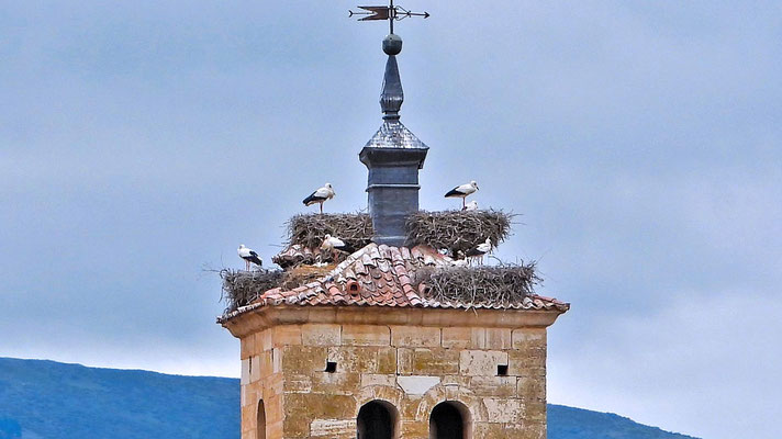 Extremadura - Störche auf jedem Kirchturm