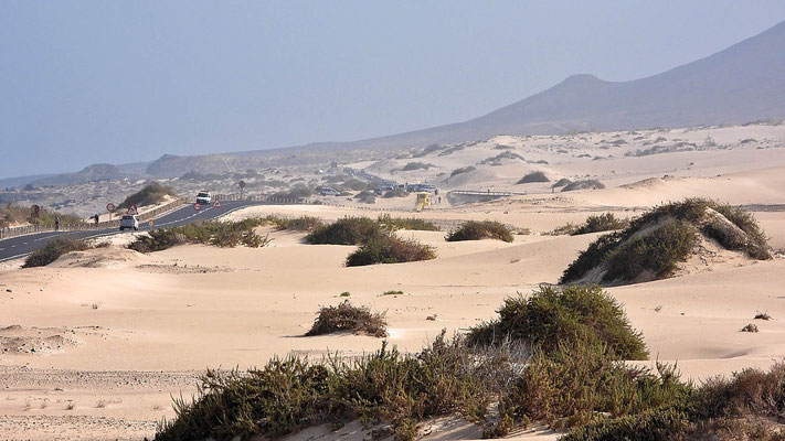 Eine Straße trennt den Strand von dem dahinter liegenden Dünengebiet.