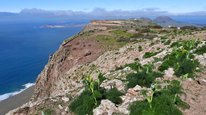 Mirador de Bosquecillo - Wanderung entlang der Steilküste.