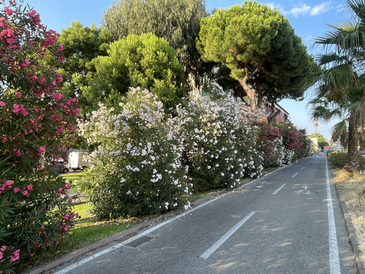 Veloweg in Sanremo